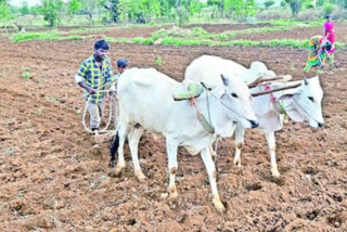 Rythu Bandhu scheme for farmers in telangana
