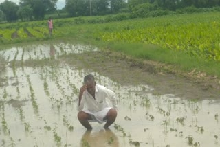 monsoon in nanded