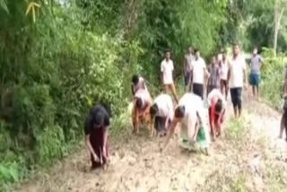 assam: locals protest poor condition of dibrugarh road, sow paddy on it