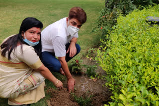 aap leader planted saplings in uttam nagar for delhi plantation campaign