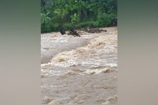 Heavy Rain in Costal Karnataka