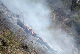 FOREST FIRE IN VERINAG