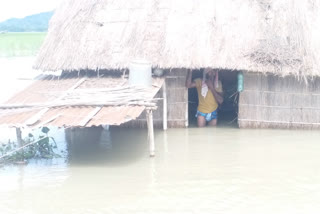 Flood at Bongaigaon