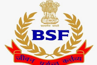 BSF