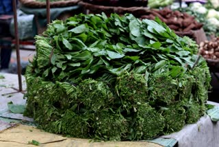 green leafy vegetable