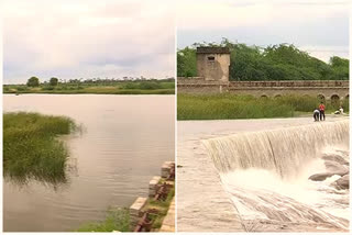 Ponds and streams filled with heavy rains .. Farmers in bliss