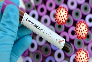 10 new corona positive cases found in nandurbar