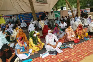 sacked pti teacher protest in bhiwani