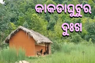 ମୌଳିକ ସୁବିଧାରୁ ବଞ୍ଚିତ କାକଡାଘୁଟୁ ଗ୍ରାମବାସୀ