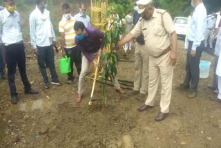 DC Una planted 200 plants on Talwara Bypass