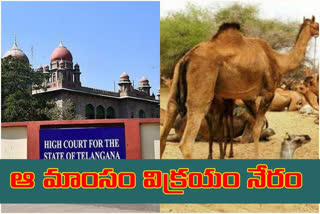 High Court order to telangana government take action not to kill camels