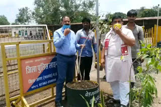 Former MLA planted tree in Agar SP office premises