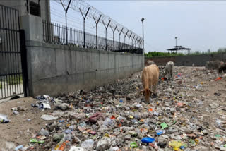 jj colony people facing problem due to uncleanness