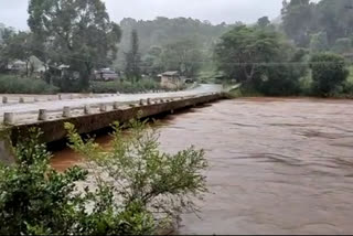 ಮುಳುಗುವ ಭೀತಿಯಲ್ಲಿ ಹೆಬ್ಬಾಳೆ ಸೇತುವೆ