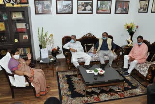 BJP delegation met Governor