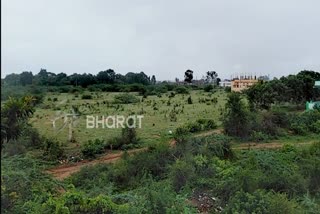 Raining in part of kustagi..dry land turned slightly as Malnad