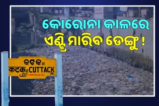 କୋରୋନା କାୟାରେ ଡେଙ୍ଗୁ କରୁଛି ପ୍ରବେଶ, ଚିନ୍ତାରେ କଟକବାସୀ