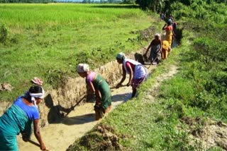 পৰম্পৰাগত জল ব্যৱস্থাপনাৰ প্ৰতি ভাবুকিঃ সংকটত কৃষক