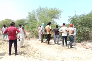 Dead body of a youth found in a farm in Satna