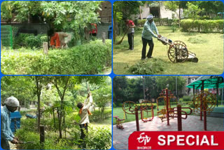 Beautification of parks in jahangir puri special story delhi