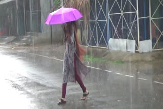 India Meteorological Department  Floods  Bihar  Assam  Thundershowers  മഴക്ക് സാധ്യത  കാലാവസ്ഥാ കേന്ദ്രം  അസം  ബിഹാർ  പ്രളയം