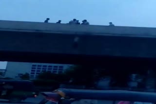 A person hanged himself on the bata flyover in faridabad