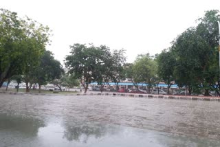 rain in districts of haryana