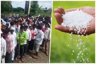 Farmers crowd to buy urea in Aurangabad