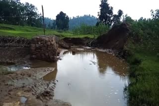 Gabion Wall collapsed