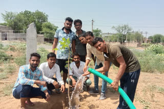 युवाओं ने किया पौधारोपण, Youngsters planted trees
