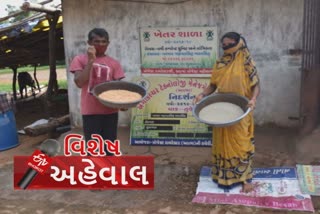 પ્રાકૃતિક ખેતી સાથે ગાય આધારિત ખેતીના મેળવ્યાં સુંદર પરિણામ, અન્યોને ચીંધી રાહ