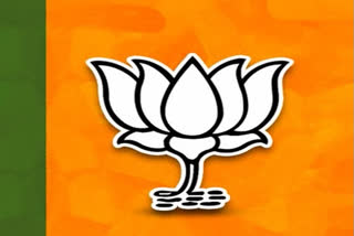 bjp