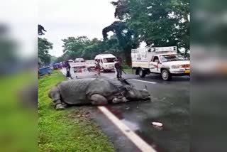 Kaziranga Flood visuals