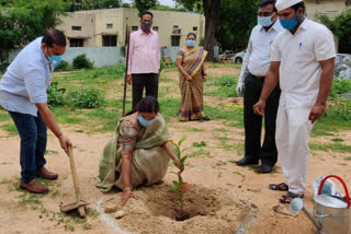 haritha haram program at court area in mahabubnagar