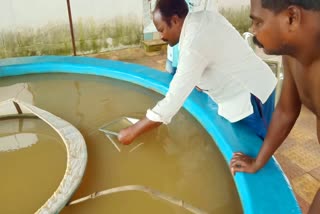 jashpur topped in Fish seed production