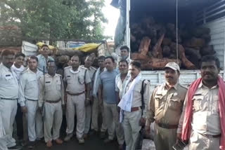 Police with seized wood