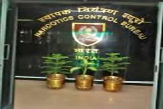 Narcotics Control Bureau