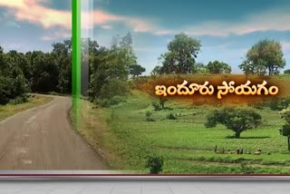 excellent greenery scene in nizamabad district