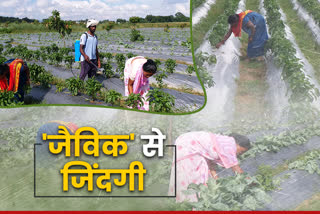 organic farming in ranchi