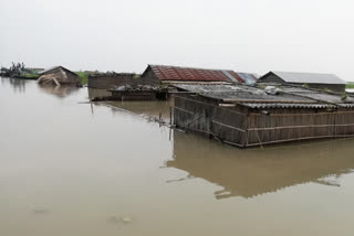 assam floods