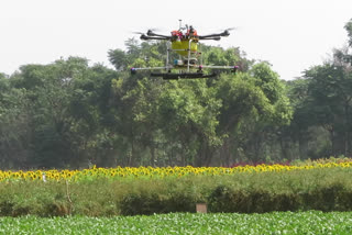 Raichur Agricultural University