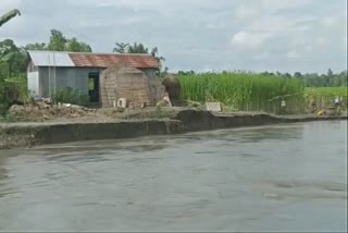 Flood in North Abhayapuri of Bongaigaon district