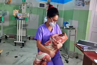 Two nurse caring of two new born babies in Hayat Hospital