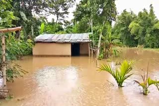 Assam flood update