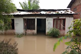 Flood in kampur of Nagaon