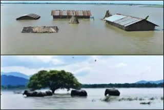 Assam Flood