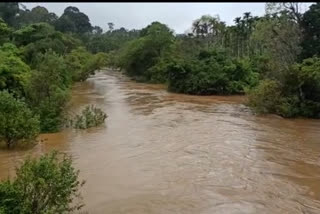 Heavy rain in Kodagu