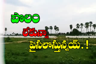 raitu bandhu funds will also be credited to the farmer's account then he sold the farm in nalgonda