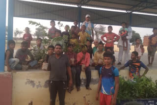 Youth planted saplings in Bhiwani on the occasion of Shivratri