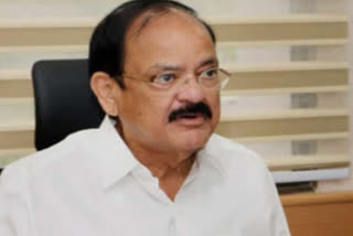 Parl panels have started scrutinising handling of COVID-19 in India: Naidu